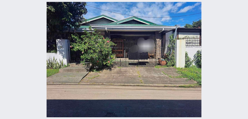Sun Valley Subdivision, Parañaque City | 400 sqm Bungalow House and Lot for Sale