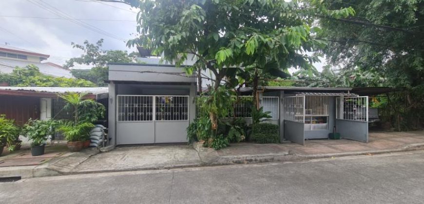 Paradise Village, Project 8 Quezon City | 350 sqm, 2-Storey House and Lot for Sale