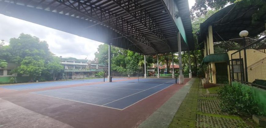 Paradise Village, Project 8 Quezon City | 350 sqm, 2-Storey House and Lot for Sale