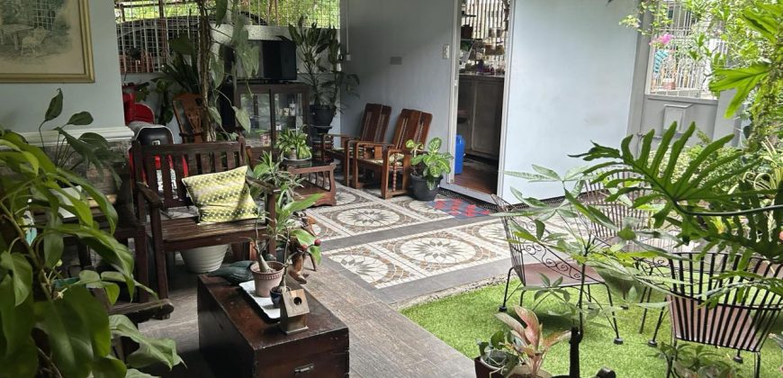 Paradise Village, Project 8 Quezon City | 350 sqm, 2-Storey House and Lot for Sale