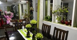 Paradise Village, Project 8 Quezon City | 350 sqm, 2-Storey House and Lot for Sale