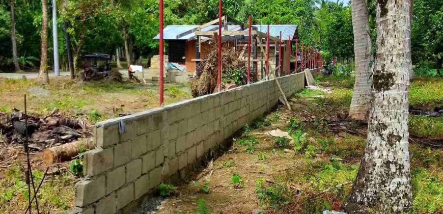 Barangay Calabuanan, Baler Aurora | 12 Hectares Lot for Sale