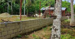 Barangay Calabuanan, Baler Aurora | 12 Hectares Lot for Sale