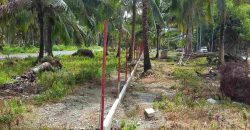 Barangay Calabuanan, Baler Aurora | 12 Hectares Lot for Sale