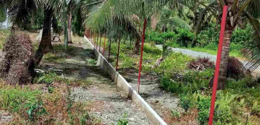 Barangay Calabuanan, Baler Aurora | 12 Hectares Lot for Sale