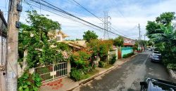 United San Pedro Subdivision (USPS), San Pedro Laguna | 2-Storey House and Lot, 400 sqm Floor Area For Sale