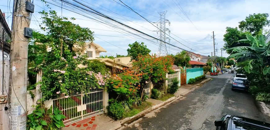 United San Pedro Subdivision (USPS), San Pedro Laguna | 2-Storey House and Lot, 400 sqm Floor Area For Sale