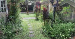 United San Pedro Subdivision (USPS), San Pedro Laguna | 2-Storey House and Lot, 400 sqm Floor Area For Sale