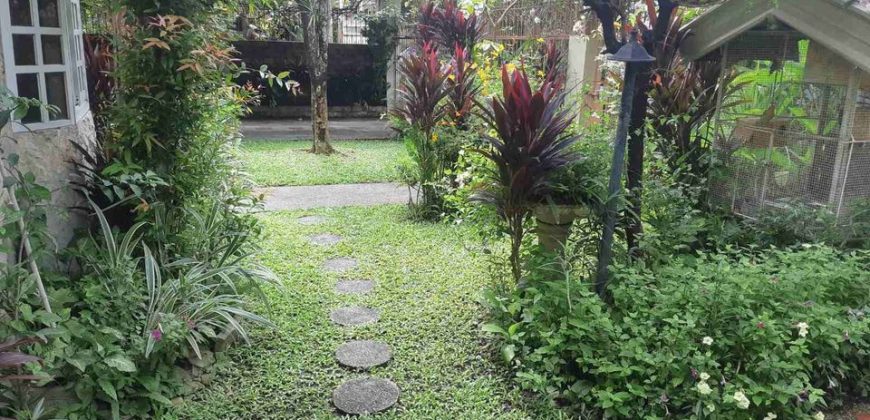 United San Pedro Subdivision (USPS), San Pedro Laguna | 2-Storey House and Lot, 400 sqm Floor Area For Sale