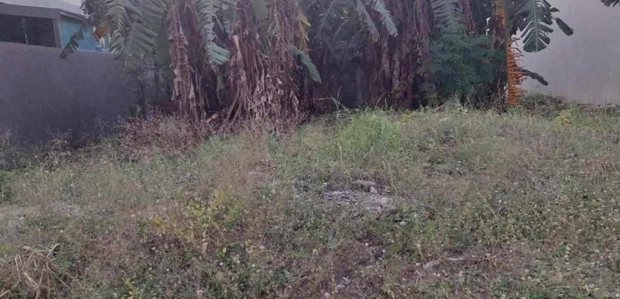 Buenafe County Villa, Batangas City | 246 sqm Lot for Sale