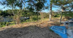 South Forbes Racha Mansion, Silang Cavite | 313 sqm Lot for Sale