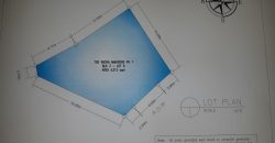 South Forbes Racha Mansion, Silang Cavite | 313 sqm Lot for Sale