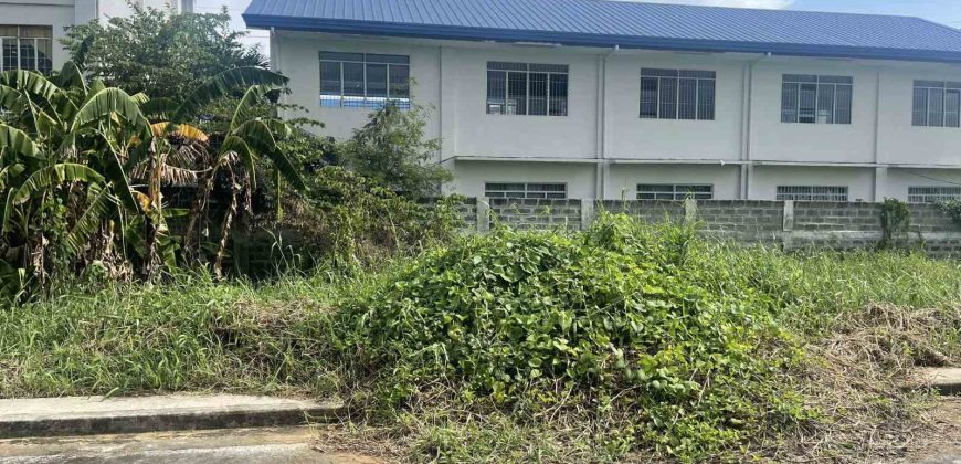 Greenland Executive Village, Cainta Rizal | 120 sqm Lot for Sale