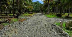 Barangay Calabuanan, Baler Aurora | 12 Hectares Lot for Sale