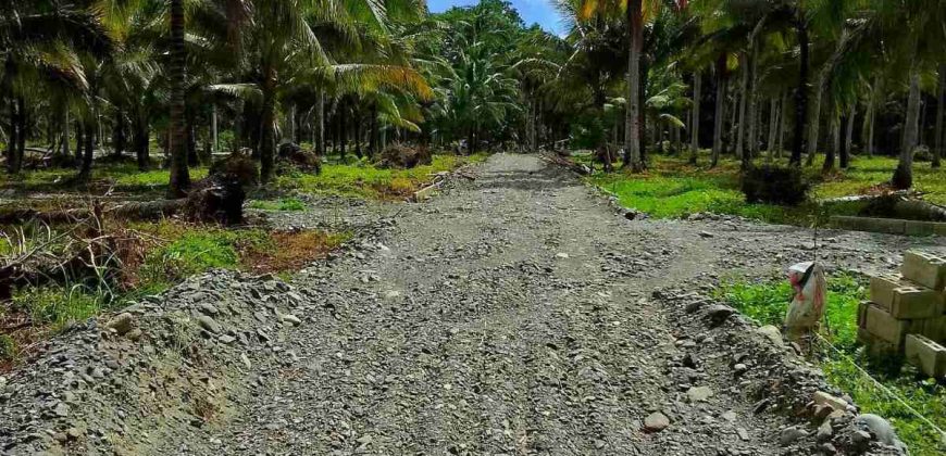 Barangay Calabuanan, Baler Aurora | 12 Hectares Lot for Sale