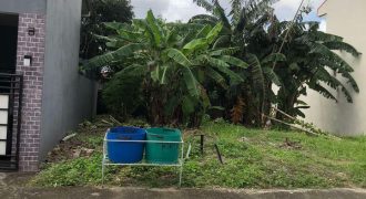 Buenafe County Villa, Batangas City | 246 sqm Lot for Sale