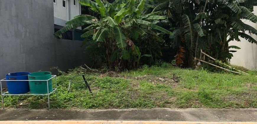 Buenafe County Villa, Batangas City | 246 sqm Lot for Sale