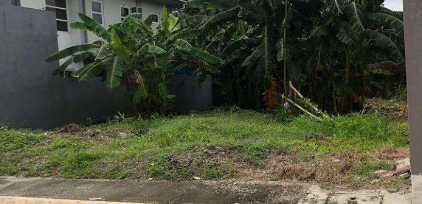 Buenafe County Villa, Batangas City | 246 sqm Lot for Sale