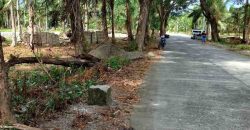 Barangay Calabuanan, Baler Aurora | 12 Hectares Lot for Sale