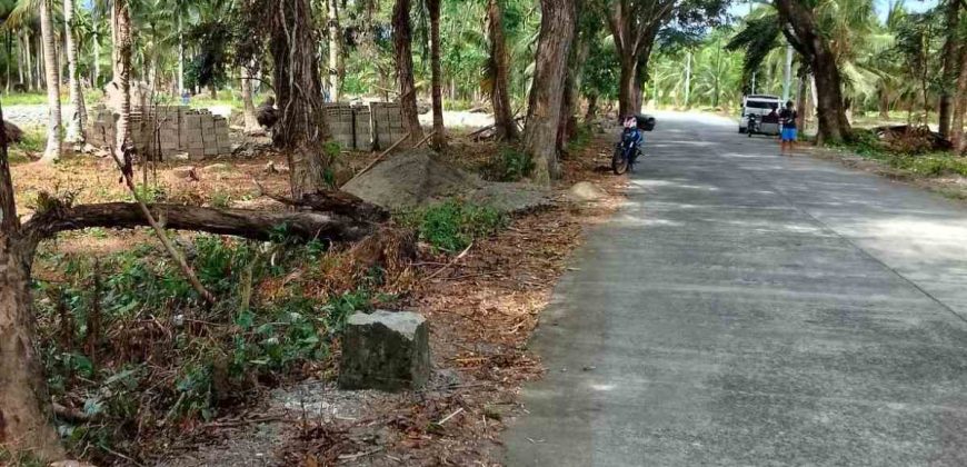 Barangay Calabuanan, Baler Aurora | 12 Hectares Lot for Sale