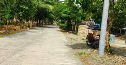 Barangay Calabuanan, Baler Aurora | 12 Hectares Lot for Sale