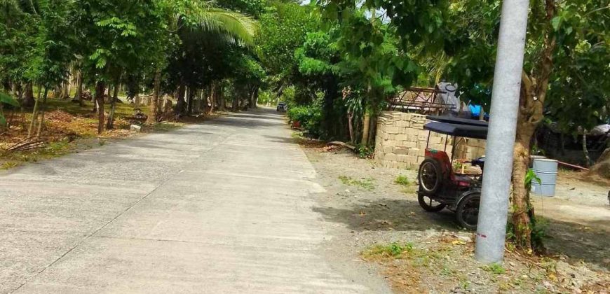 Barangay Calabuanan, Baler Aurora | 12 Hectares Lot for Sale