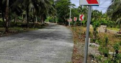 Barangay Calabuanan, Baler Aurora | 12 Hectares Lot for Sale
