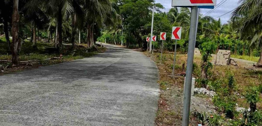 Barangay Calabuanan, Baler Aurora | 12 Hectares Lot for Sale