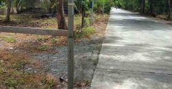 Barangay Calabuanan, Baler Aurora | 12 Hectares Lot for Sale
