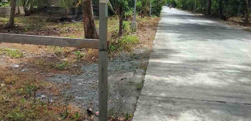 Barangay Calabuanan, Baler Aurora | 12 Hectares Lot for Sale