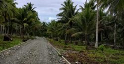 Barangay Calabuanan, Baler Aurora | 12 Hectares Lot for Sale