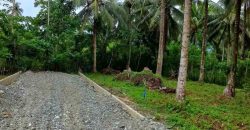 Barangay Calabuanan, Baler Aurora | 12 Hectares Lot for Sale