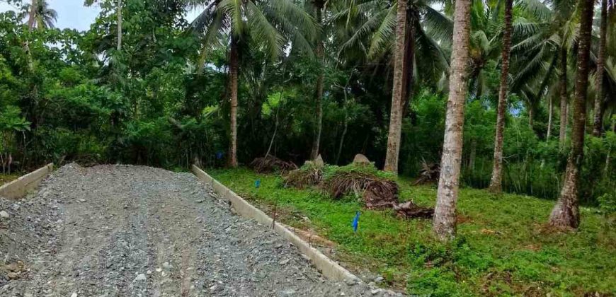 Barangay Calabuanan, Baler Aurora | 12 Hectares Lot for Sale