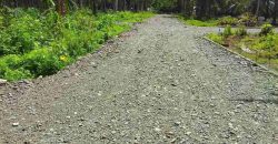 Barangay Calabuanan, Baler Aurora | 12 Hectares Lot for Sale