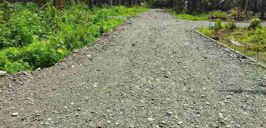 Barangay Calabuanan, Baler Aurora | 12 Hectares Lot for Sale