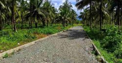 Barangay Calabuanan, Baler Aurora | 12 Hectares Lot for Sale