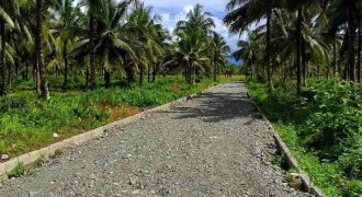 Barangay Calabuanan, Baler Aurora | 12 Hectares Lot for Sale