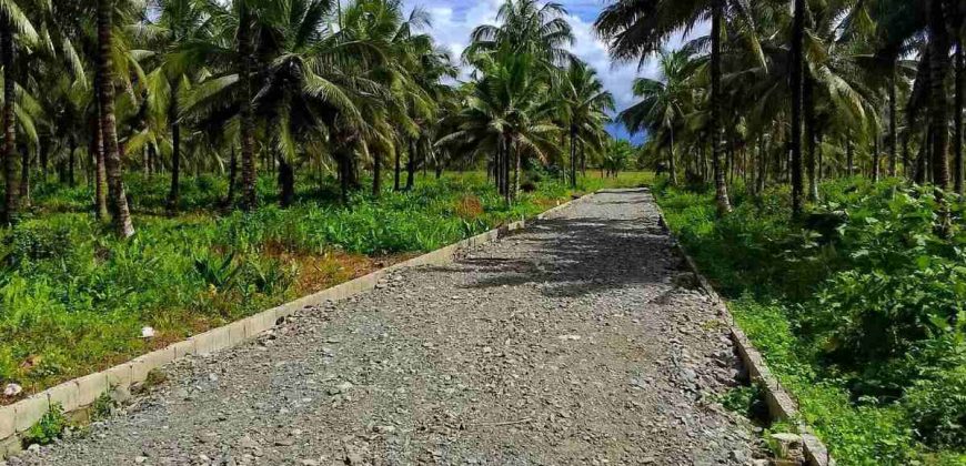 Barangay Calabuanan, Baler Aurora | 12 Hectares Lot for Sale
