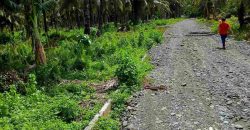 Barangay Calabuanan, Baler Aurora | 12 Hectares Lot for Sale