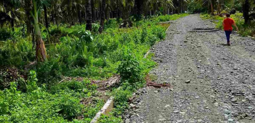 Barangay Calabuanan, Baler Aurora | 12 Hectares Lot for Sale