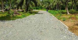 Barangay Calabuanan, Baler Aurora | 12 Hectares Lot for Sale