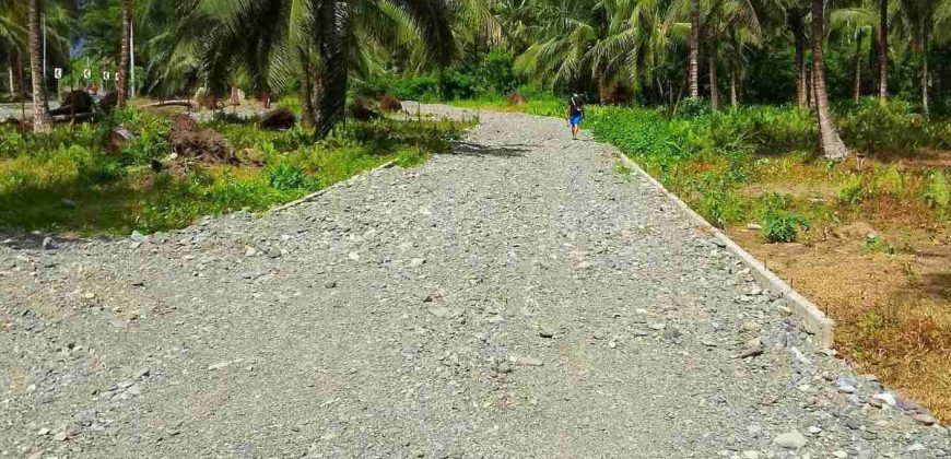 Barangay Calabuanan, Baler Aurora | 12 Hectares Lot for Sale