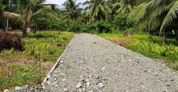 Barangay Calabuanan, Baler Aurora | 12 Hectares Lot for Sale