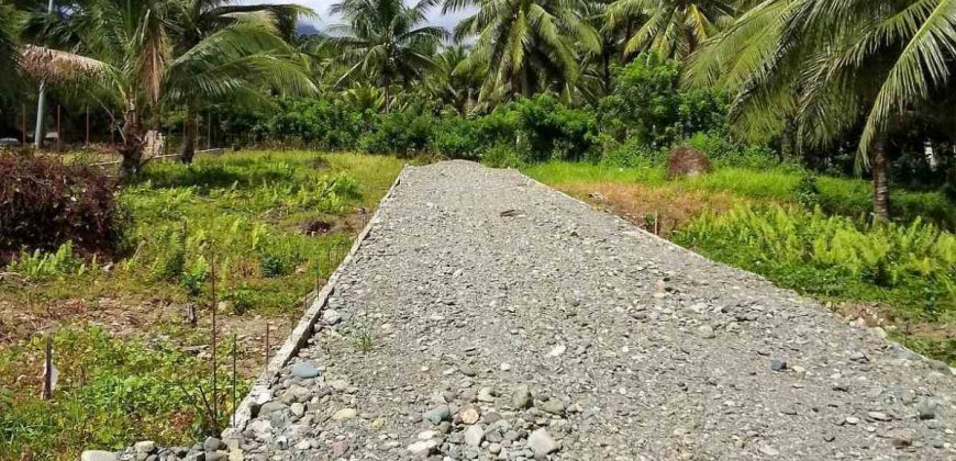 Barangay Calabuanan, Baler Aurora | 12 Hectares Lot for Sale