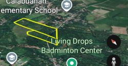 Barangay Calabuanan, Baler Aurora | 12 Hectares Lot for Sale