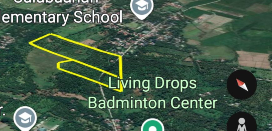Barangay Calabuanan, Baler Aurora | 12 Hectares Lot for Sale